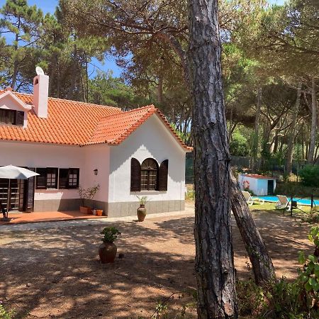 Moradia No Pinhal Com Piscina - Espaco E Privacidade Para As Suas Ferias! سينترا المظهر الخارجي الصورة