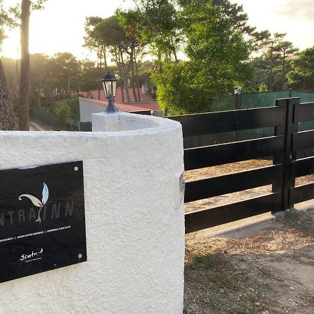 Moradia No Pinhal Com Piscina - Espaco E Privacidade Para As Suas Ferias! سينترا المظهر الخارجي الصورة