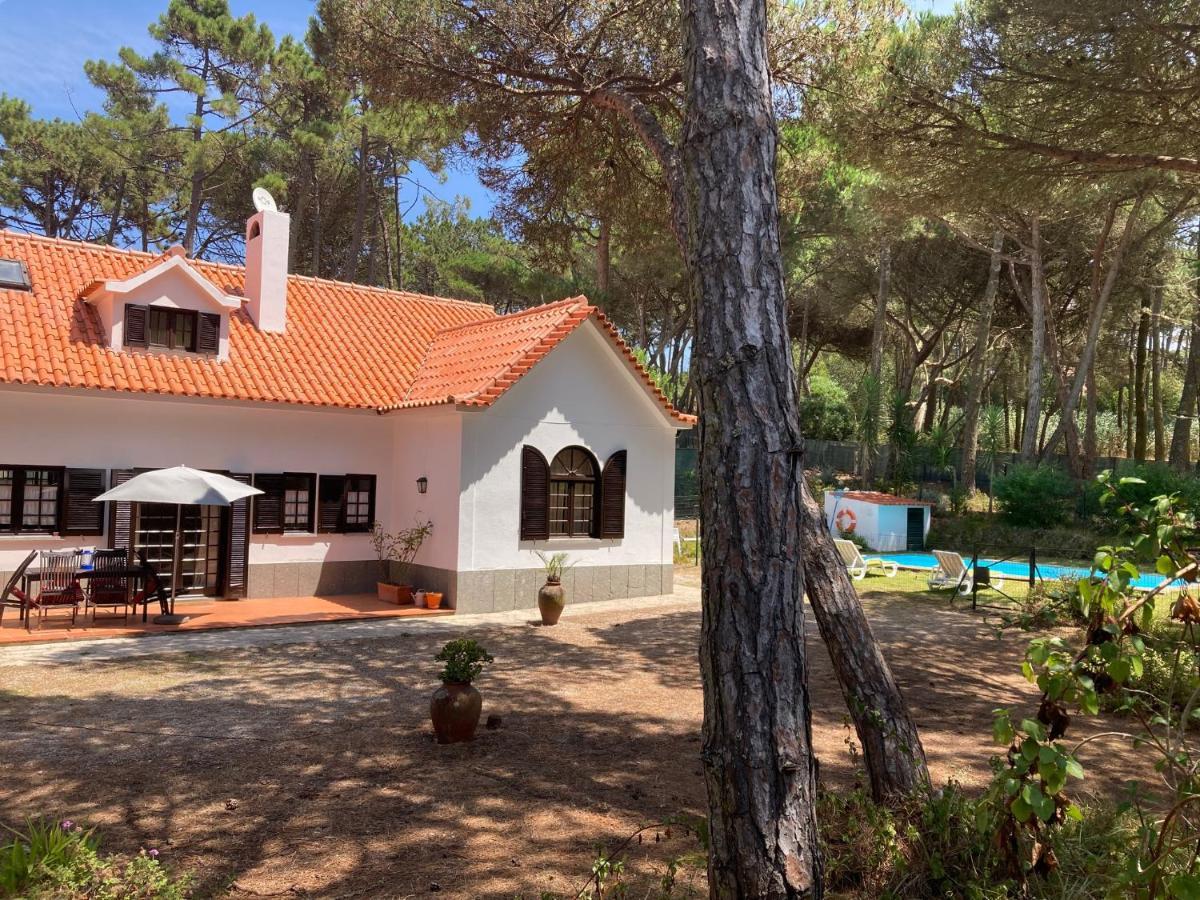 Moradia No Pinhal Com Piscina - Espaco E Privacidade Para As Suas Ferias! سينترا المظهر الخارجي الصورة