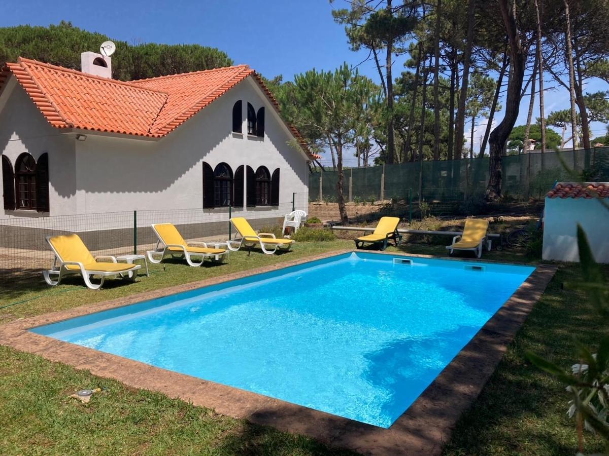 Moradia No Pinhal Com Piscina - Espaco E Privacidade Para As Suas Ferias! سينترا المظهر الخارجي الصورة