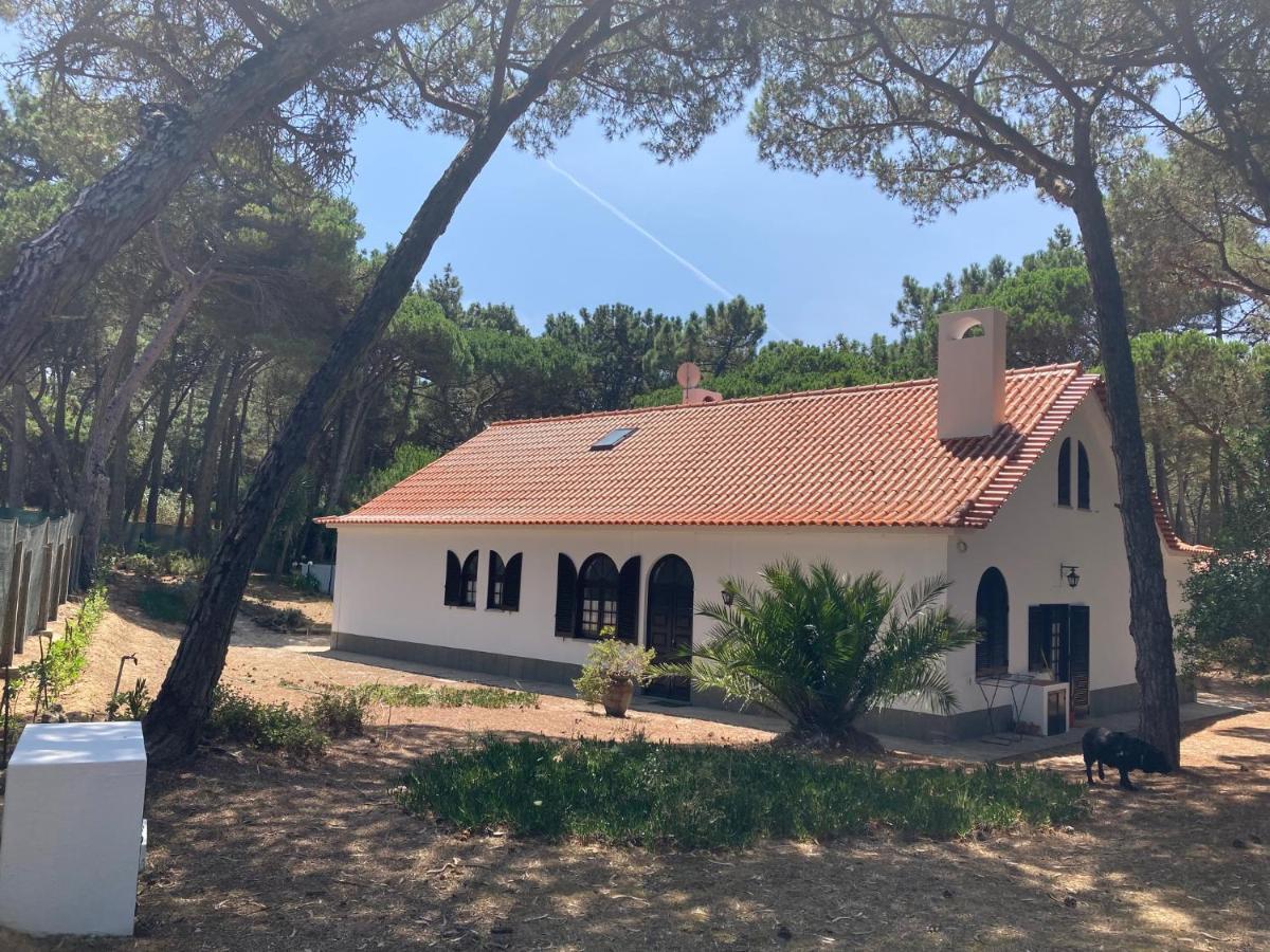 Moradia No Pinhal Com Piscina - Espaco E Privacidade Para As Suas Ferias! سينترا المظهر الخارجي الصورة