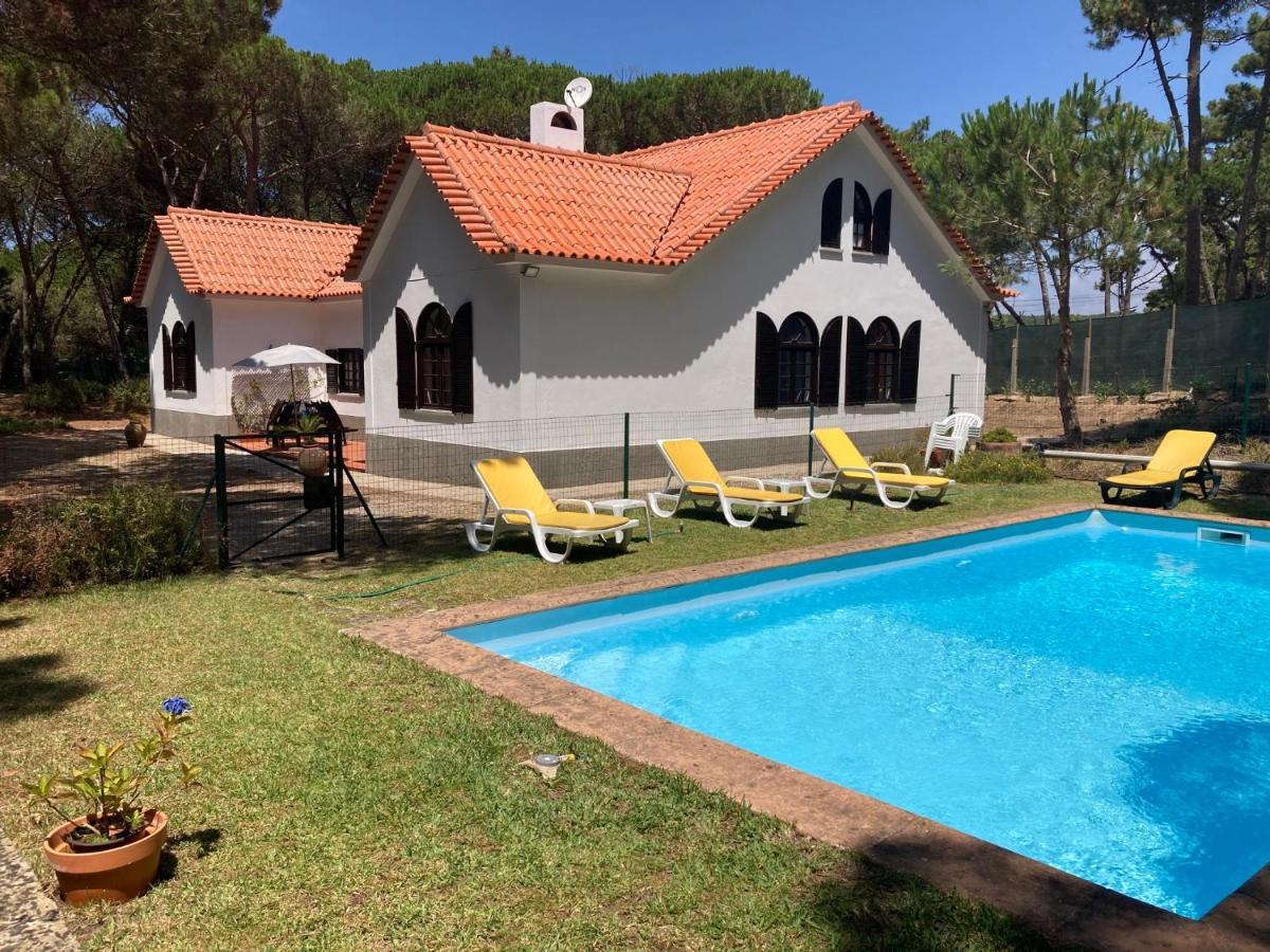 Moradia No Pinhal Com Piscina - Espaco E Privacidade Para As Suas Ferias! سينترا المظهر الخارجي الصورة