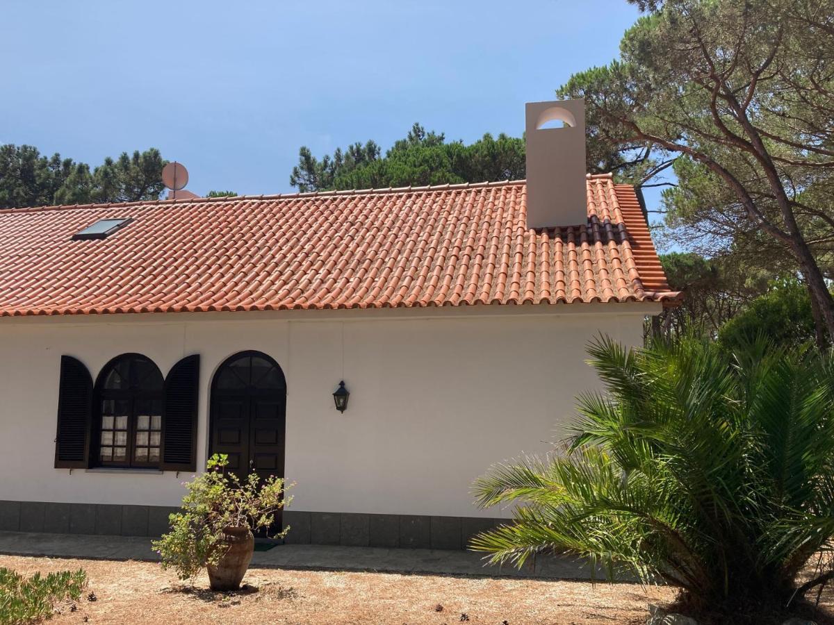 Moradia No Pinhal Com Piscina - Espaco E Privacidade Para As Suas Ferias! سينترا المظهر الخارجي الصورة