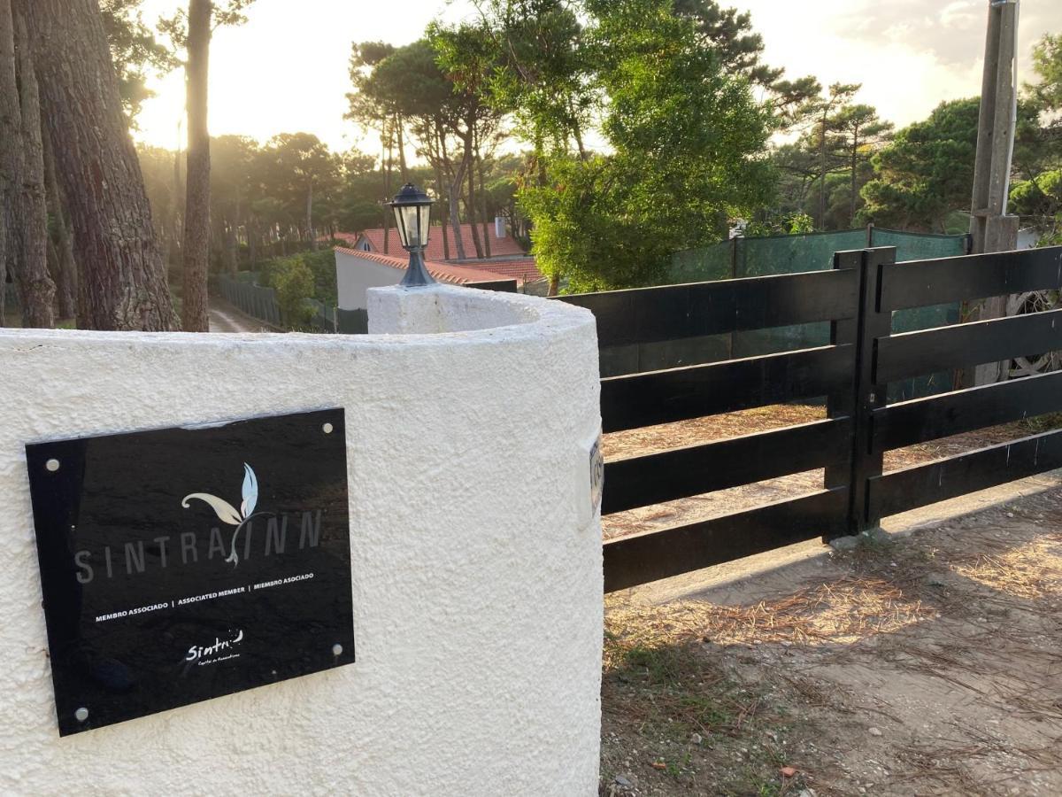 Moradia No Pinhal Com Piscina - Espaco E Privacidade Para As Suas Ferias! سينترا المظهر الخارجي الصورة